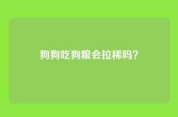 狗狗吃狗粮会拉稀吗？
