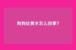 狗狗吐黄水怎么回事？