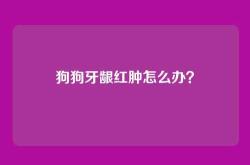 狗狗牙龈红肿怎么办？