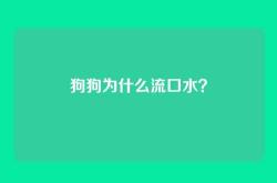 狗狗为什么流口水？