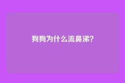 狗狗为什么流鼻涕？