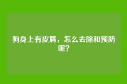 狗身上有皮屑，怎么去除和预防呢？