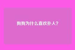 狗狗为什么喜欢扑人？