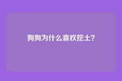 狗狗为什么喜欢挖土？
