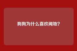 狗狗为什么喜欢闻地？