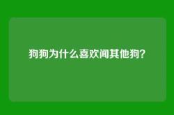 狗狗为什么喜欢闻其他狗？