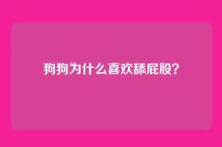 狗狗为什么喜欢舔屁股？