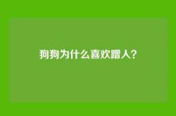 狗狗为什么喜欢蹭人？