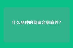 什么品种的狗适合家庭养？