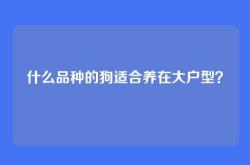 什么品种的狗适合养在大户型？