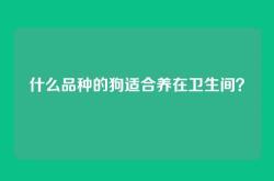 什么品种的狗适合养在卫生间？