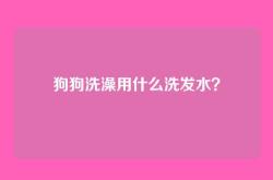 狗狗洗澡用什么洗发水？
