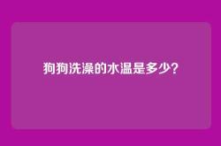 狗狗洗澡的水温是多少？