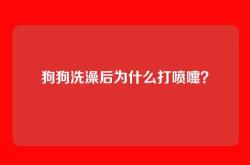 狗狗洗澡后为什么打喷嚏？