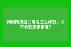 狗眼睛周围的毛发怎么修剪，才不会刺激眼睛呢？