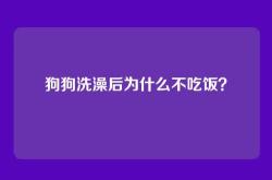 狗狗洗澡后为什么不吃饭？