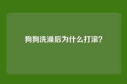 狗狗洗澡后为什么打滚？