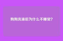 狗狗洗澡后为什么不睡觉？