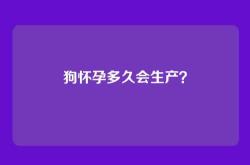 狗怀孕多久会生产？