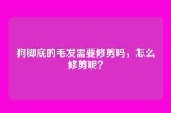 狗脚底的毛发需要修剪吗，怎么修剪呢？