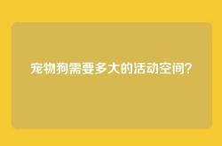 宠物狗需要多大的活动空间？