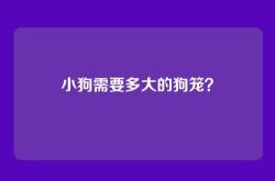 小狗需要多大的狗笼？