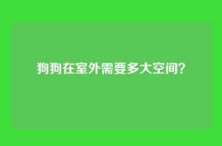 狗狗在室外需要多大空间？