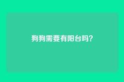 狗狗需要有阳台吗？