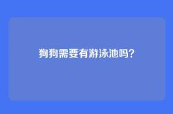 狗狗需要有游泳池吗？