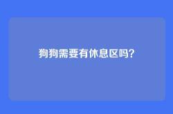狗狗需要有休息区吗？