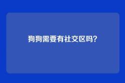 狗狗需要有社交区吗？