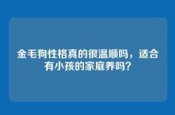 金毛狗性格真的很温顺吗，适合有小孩的家庭养吗？