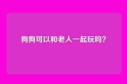 狗狗可以和老人一起玩吗？