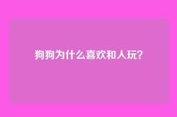 狗狗为什么喜欢和人玩？