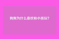 狗狗为什么喜欢和小孩玩？