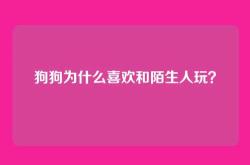 狗狗为什么喜欢和陌生人玩？