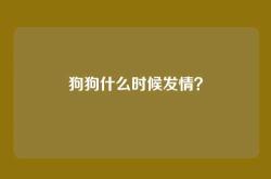 狗狗什么时候发情？