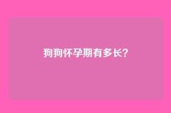 狗狗怀孕期有多长？