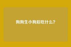 狗狗生小狗后吃什么？