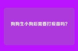 狗狗生小狗后需要打疫苗吗？
