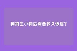 狗狗生小狗后需要多久恢复？
