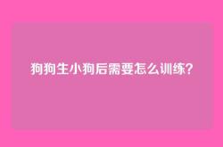 狗狗生小狗后需要怎么训练？