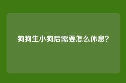 狗狗生小狗后需要怎么休息？
