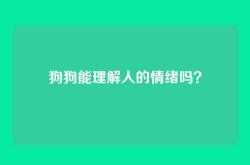 狗狗能理解人的情绪吗？