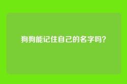 狗狗能记住自己的名字吗？