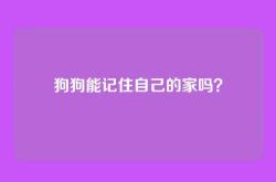 狗狗能记住自己的家吗？