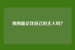 狗狗能记住自己的主人吗？