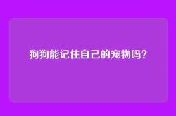 狗狗能记住自己的宠物吗？