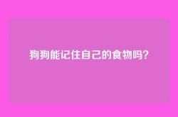 狗狗能记住自己的食物吗？