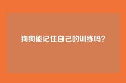 狗狗能记住自己的训练吗？